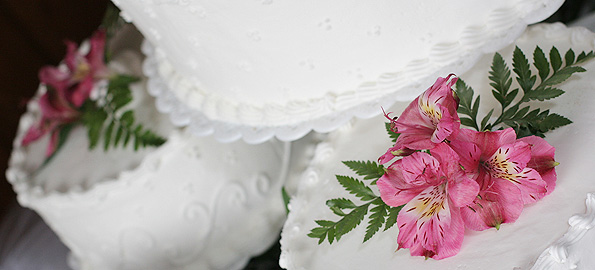 Wedding Cake Basics:  Choosing the Perfect Cake